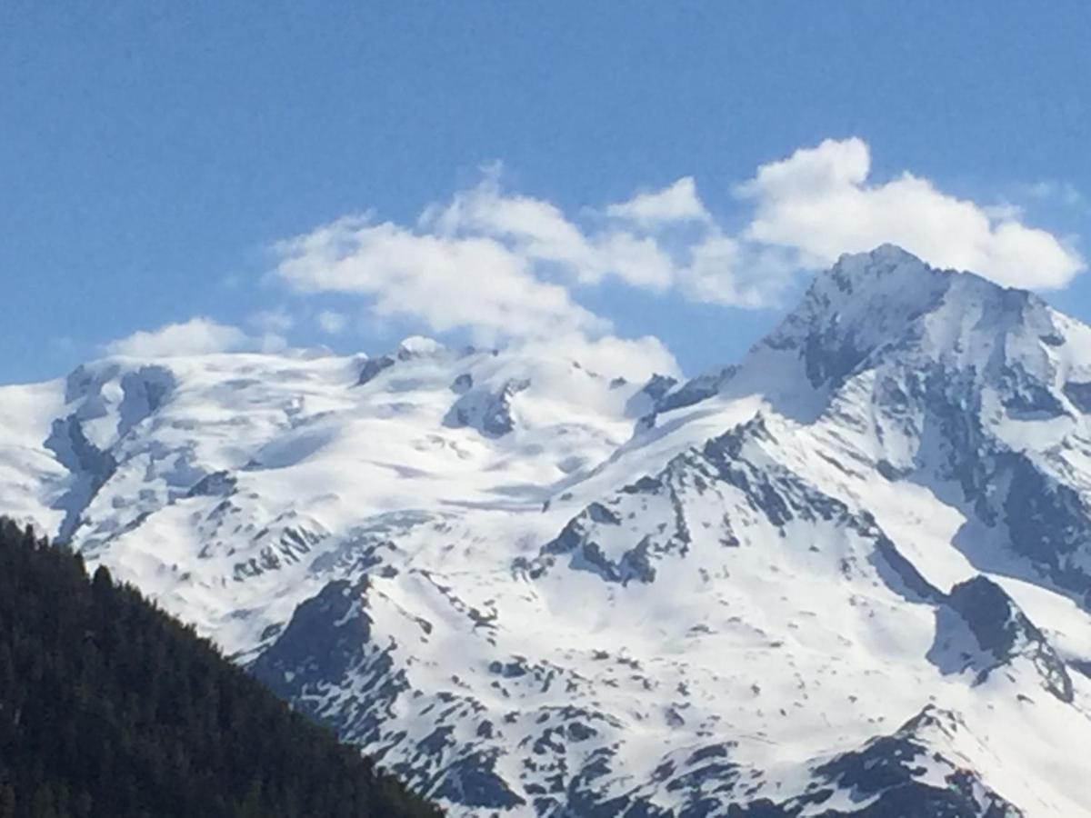Le Petit Saint Bernard Villa Sainte-Foy-Tarentaise Eksteriør billede