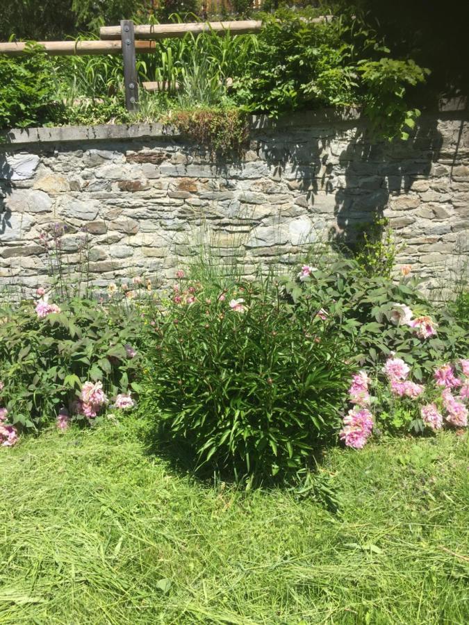 Le Petit Saint Bernard Villa Sainte-Foy-Tarentaise Eksteriør billede